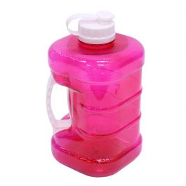 Gym water bottle 2L